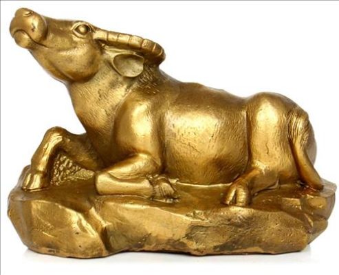 Chọn Trâu Phong Thủy Thế Nào Để Phúc Lộc Mãn Đường? Ngẩng Đầu Hay Cúi Đầu Mới Tốt?