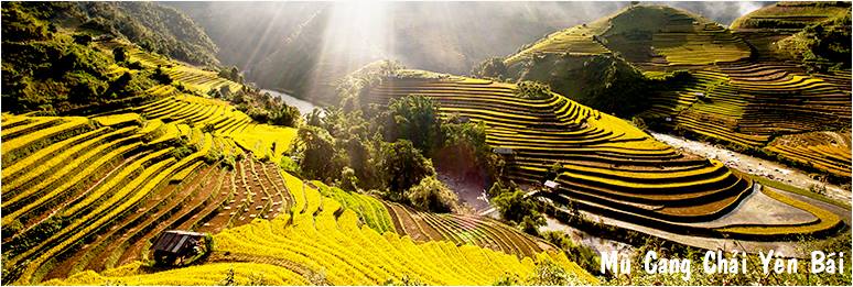 Cách tính giờ xuất hành tốt, xấu của Lý Thuần Phong