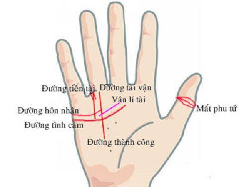 Ý nghĩa các cung Bát quái trên bàn tay bạn theo quan niệm tướng số Ý nghĩa các cung Bát quái trên bàn tay bạn theo quan niệm tướng số