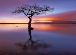 TE1BBB1hiE1BB83umC3ACnhsBlog Tuhieuminh.blogspot.com C6AFE1BB9BcmuE1BB91ncE1BBA7aconngC6B0E1BB9Di