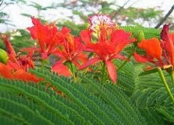 TE1BBB1hiE1BB83umC3ACnhsBlog Tuhieuminh.blogspot.com NhE1BBAFngcungbE1BAADccE1BBA7acC3A1ihC3A8n