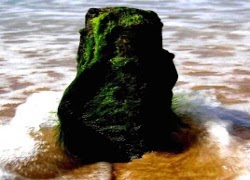 TE1BBB1hiE1BB83umC3ACnhsBlog Tuhieuminh.blogspot.com SE1BB91ngcC3B3C3ADchvC3ACbiE1BABFtvC3B4thC6B0E1BB9Dng