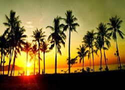 TE1BBB1hiE1BB83umC3ACnhsBlog Tuhieuminh.blogspot.com TE1BAA3nmE1BAA1nvE1BB81lE1BAA1cnghiE1BB87p