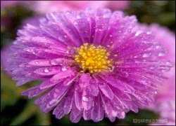 Tuhieuminh.blogspot.com DE1BBA5clE1BAA1cvC3A0HE1BAA1nhphC3BAc