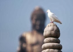 Tuhieuminh.blogspot.com KhC3B4ngaitrongchC3BAngtabiE1BABFtkhinC3A0omC3ACnhchE1BABFt