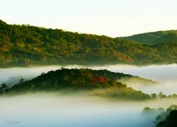 Tuhieuminh.blogspot.com PhE1BAA3ithC3A0nhthE1BAADt