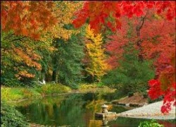 co phai con nguoi tu em benh tat en cho 1787298955