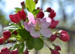 cuoc oi con nguoi la mot cai vong kim co 621810380