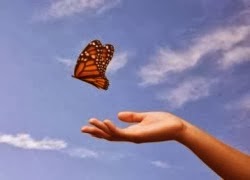 thu tim lai gia tri cua tinh thuong 835230258