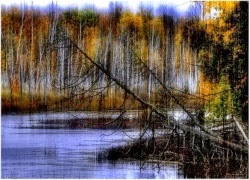 tubietminh.blogspot.com VC6B0E1BBA3tquabuE1BB93nchC3A1nvC3A0trE1BAA7mcE1BAA3m ContC3A0uvC3A0conngC6B0E1BB9Di