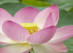 tuhieuminh.blogspot.com VC3B4minhvC3A0giC3A1cngE1BB99 NhE1BBAFngC491iE1BB81ukhC3B3