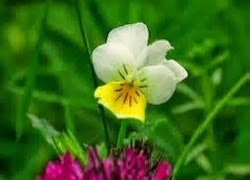 tuhieuminh.blogspot.com lo ho cua ham muon NhE1BAADndiE1BB87ncC3A1ichE1BABFtvC3A0hE1BAA1nhphC3BAc