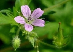 tuhieuminh.blogspot.com song vi nguoi khac