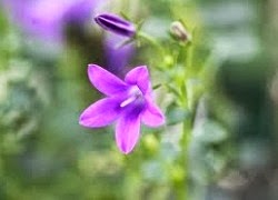 tuhieuminh.blogspot.com tham vong ConngC6B0E1BB9DithC6B0E1BB9DngbE1BB8BgiamhC3A3mdE1BBA5cvE1BB8Dng