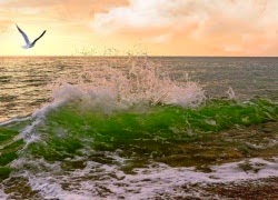 TE1BBB1hiE1BB83umC3ACnhsBlog Tuhieuminh.blogspot.com ME1BAA5ydC3B2ngtE1BBB1sE1BBB1