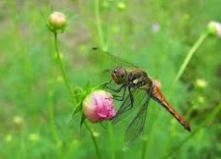 tuhieuminh.blogspot.com chia se LoC3A0ithE1BBB1cvE1BAADtcC3B3cE1BAA3mnhE1BAADnsE1BBB1C491aukhE1BB95khC3B4ng