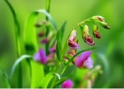 tuhieuminh.blogspot.com hoc cach nhin truc tiep VC483nhC3B3avC3A0vC483nminh