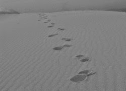 TE1BBB1hiE1BB83umC3ACnhsBlog Tuhieuminh.blogspot.com ThC3AAnhthangC491C6B0E1BB9DngtrE1BAA7n