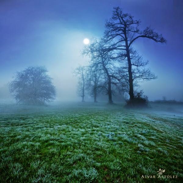 TE1BBB1hiE1BB83umC3ACnhsBlog Tuhieuminh.blogspot.com C490iquaC491E1BB9Dinhau