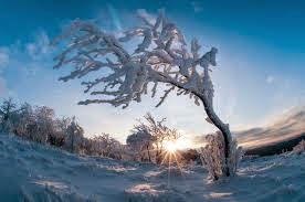 vi sao con nguoi tan ac voi nhau nhu vay 1538744197