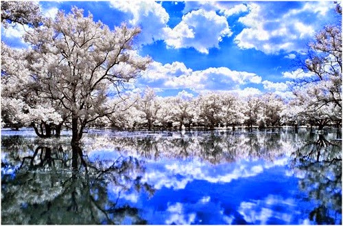 TE1BBB12BhiE1BB83u2BmC3ACnhs2BBlog tuhieuminh.blogspot.com C490E1BB992BngC6B0E1BB9Di