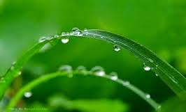 TE1BBB12BhiE1BB83u2BmC3ACnhs2BBlog tuhieuminh.blogspot.com CC3B32BsC3A1u2BnghE1BB812BC3A1c