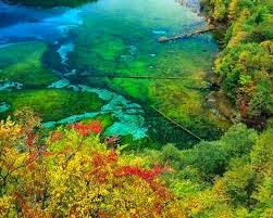 buon chan khi xa tam khong uoc 2 629029237