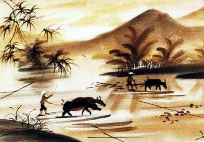 han che cua tu duy nhan thuc nguoi viet 64140921