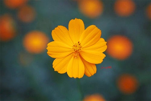 BE1BB87nhE280A62BE2809CnE1BB95E2809D