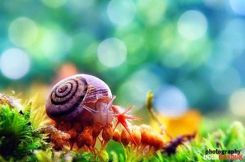 TE1BBB12BhiE1BB83u2BmC3ACnhs2BBlog Tuhieuminh.blogspot.com CC3B4ng2BdC3A2n2BC491C3ADch2BthE1BBB1c