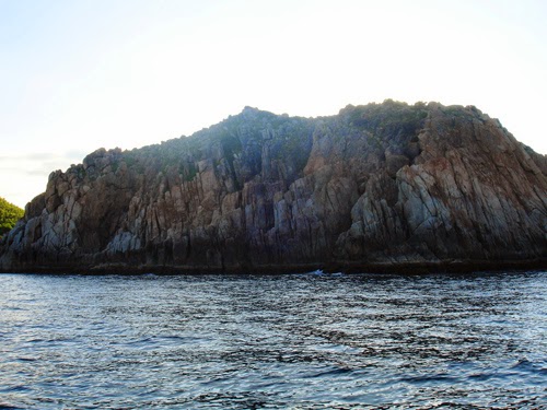 nguoi viet nam ang bi ong tien lam tha 1739392017