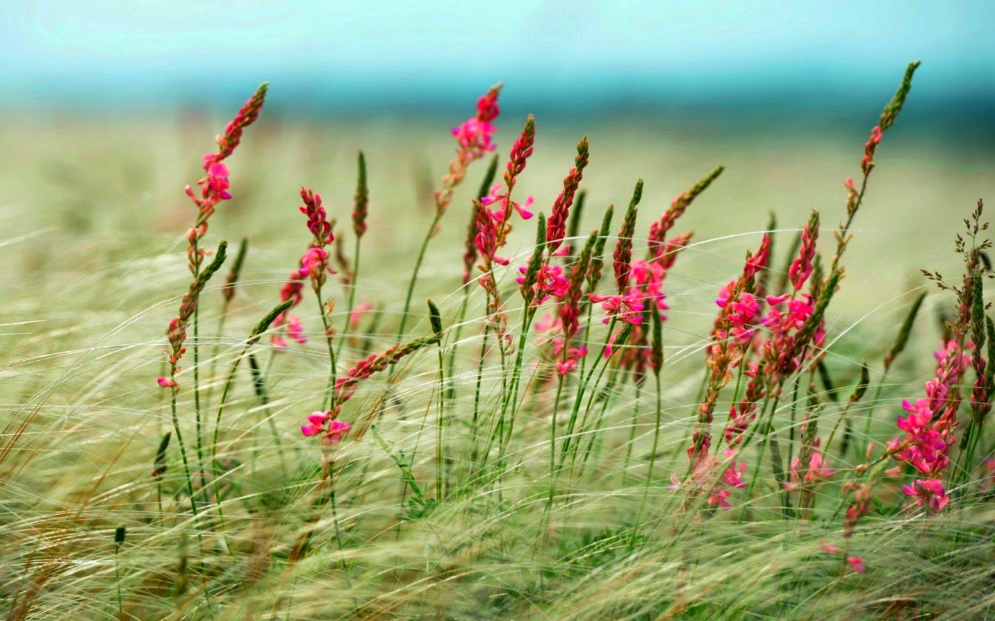 TE1BBB12BhiE1BB83u2BmC3ACnhs2BBlog tuhieuminh.blogspot.com CC3A1i2BtC3B4i2Btrong2BmE1BB97i2BngC6B0E1BB9Di