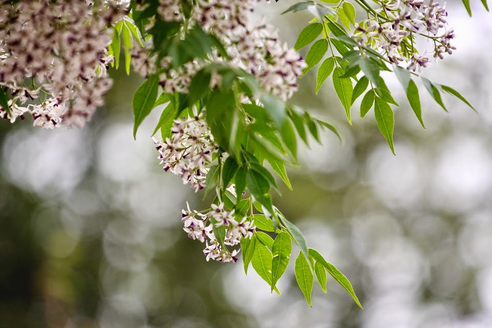 TE1BBB12BhiE1BB83u2BmC3ACnhs2BBlog tuhieuminh.blogspot.com KhiE1BABFp2BC491E1BAA3m2BvC3A02BsE1BBA32BhC3A3i