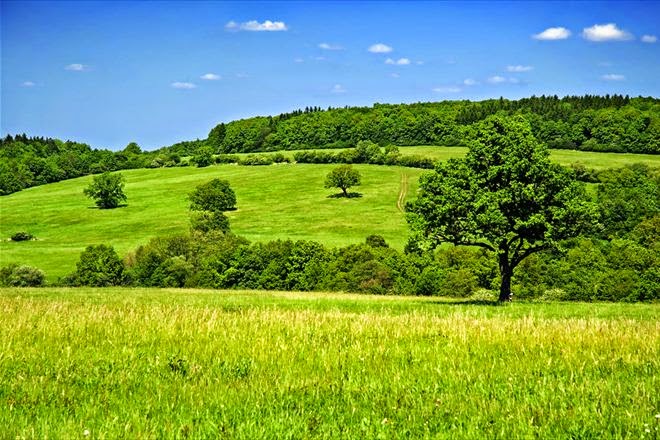 TE1BBB12BhiE1BB83u2BmC3ACnhs2BBlog tuhieuminh.blogspot.com NgC6B0E1BB9Di2BViE1BB87t2BtE1BB91t2Bhay2BxE1BAA5u