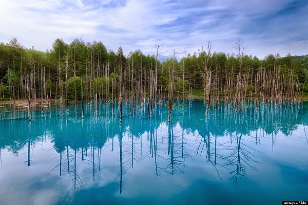 TE1BBB12BhiE1BB83u2BmC3ACnhs2BBlog tuhieuminh.blogspot.com PHE1BAA2I2BTE1BBB02BCE1BBA8U2BMC38CNH