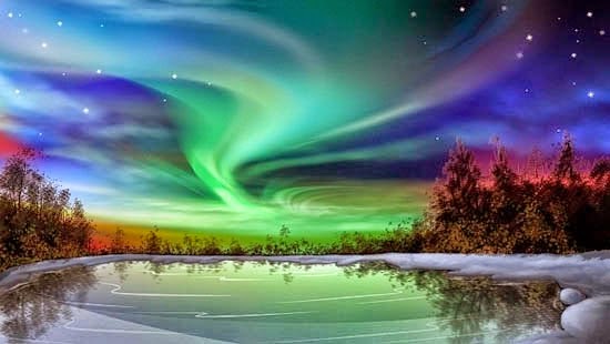 khac biet giua chin chan va gia i 691404676