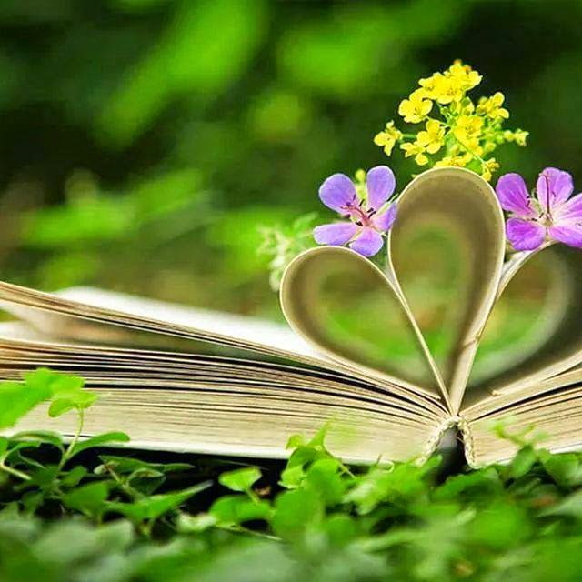 song chang cho chet lam van te ruoi 1159757933