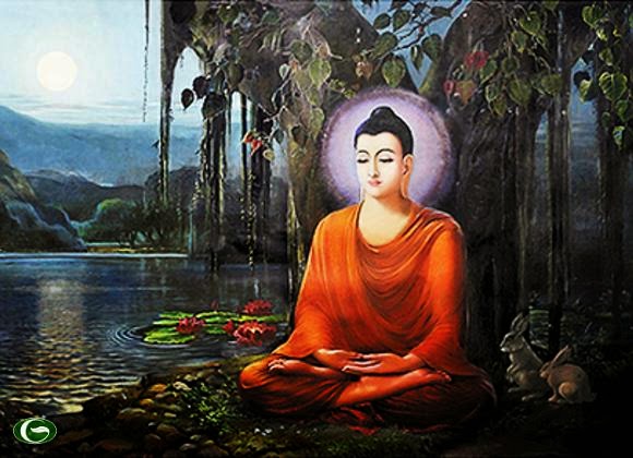 thai tu anh o su giet sinh vat e te than 296317088