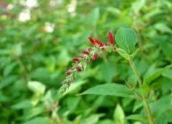 TE1BBB12BhiE1BB83u2BmC3ACnhs2BBlog tuhieuminh.blogspot.com GE1BBABng2BcC3A0ng2BgiC3A02BcC3A0ng2Bcay