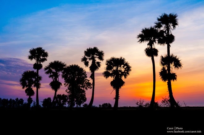 TE1BBB12BhiE1BB83u2BmC3ACnhs2BBlog tuhieuminh.blogspot.com Ly2BbE1BAA5t2BthiE1BB87n2BphC3A1p