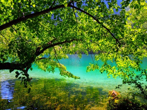 nguon goc kho au cua con nguoi 1098348223