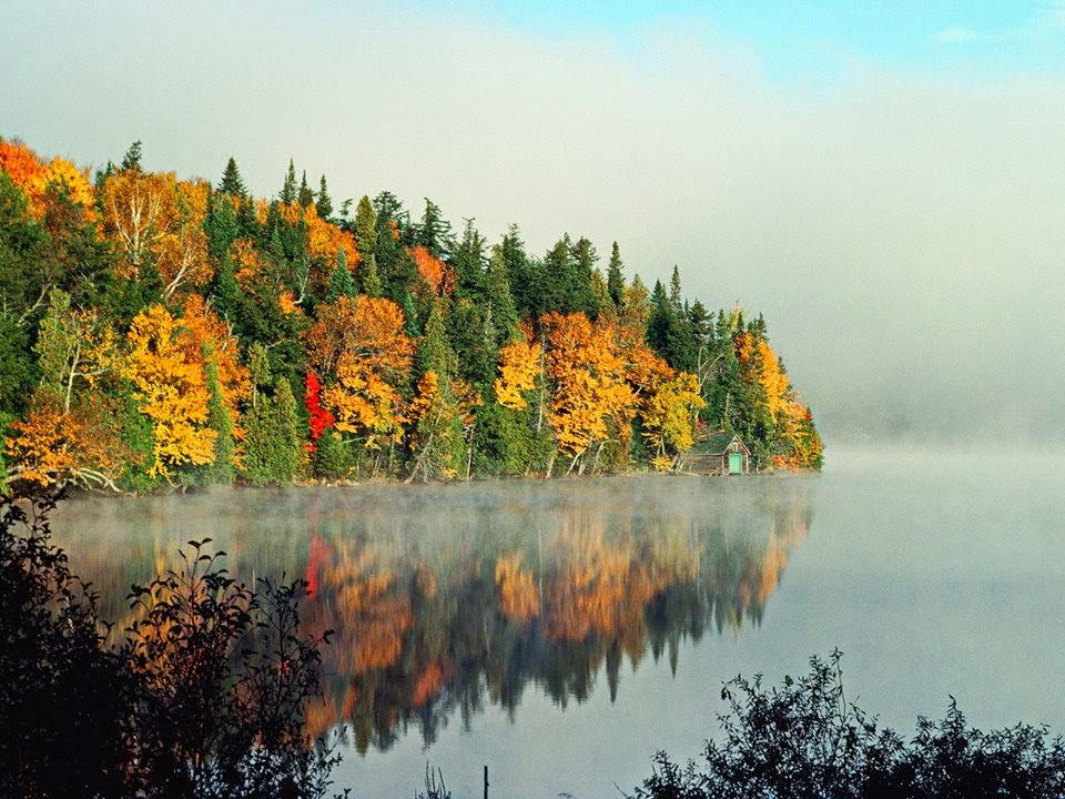 Con2BngC6B0E1BB9Di2BngC3A0y2BmE1BB99t2BC491C3B4ng2BhC6A1n