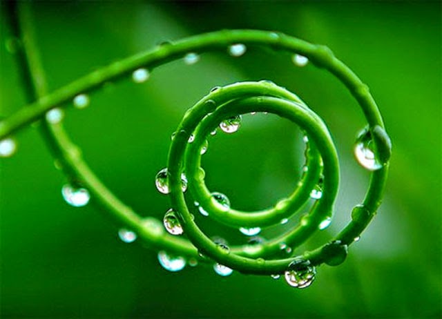 QuC3A1n2BthC3A2n2BnhC6B02BthE1BBB1c2BphE1BAA9m2BcE1BBA7a2BloC3A0i2BvE1BAADt