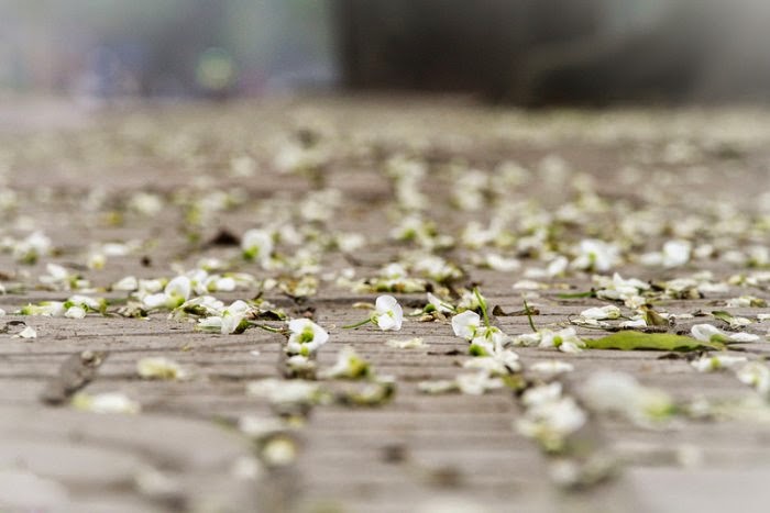 TE1BBB12BhiE1BB83u2BmC3ACnhs2BBlog tuhieuminh.blogspot.com C490E1BBABng2BgiE1BBAF2BnguyC3AAn2BquC3AA2BmC3B9a