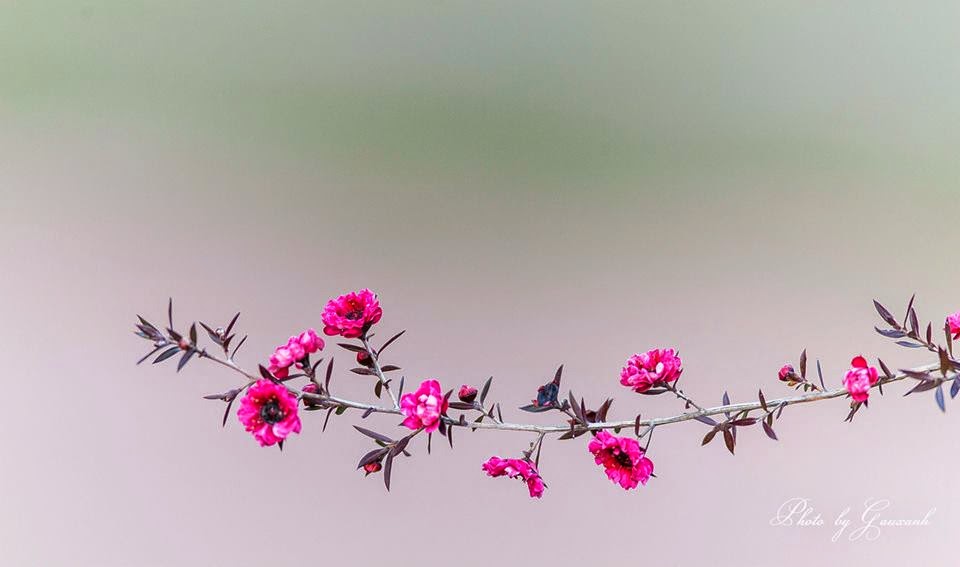 TE1BBB12BhiE1BB83u2BmC3ACnhs2BBlog tuhieuminh.blogspot.com ChC3BAng2Bta2BsE1BB91ng2BC491E1BB832BlC3A0m2BgC3AC