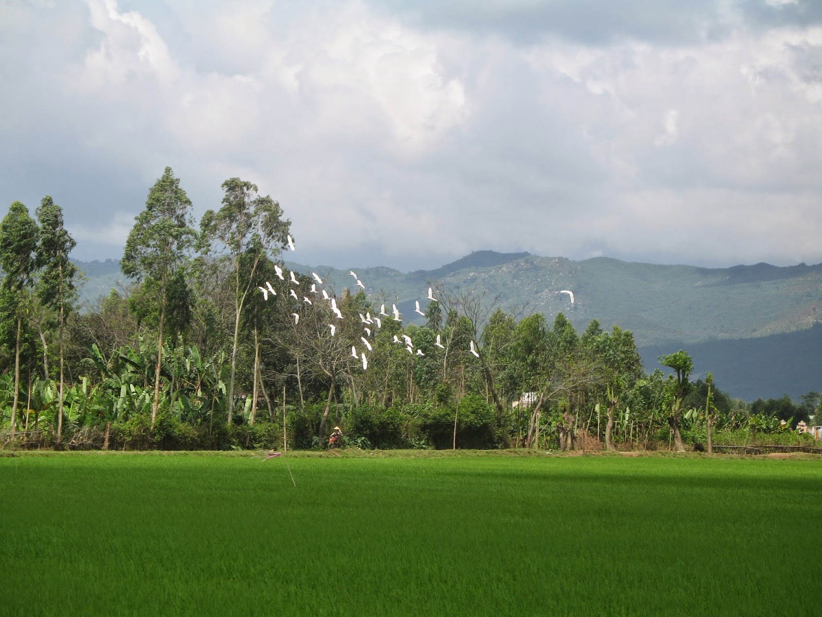 TE1BBB12BhiE1BB83u2BmC3ACnhs2BBlog tuhieuminh.blogspot.com ChE1BBA3t2BnhE1BAADn2Bra2BmC3ACnh