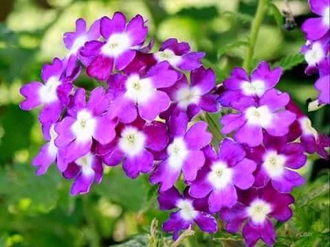 TE1BBB12BhiE1BB83u2BmC3ACnhs2BBlog tuhieuminh.blogspot.com HE1BAA1t2BbE1BBA5i2BnC3A0o.2BE280A6