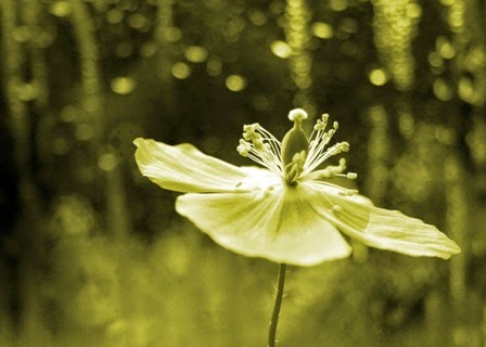 TE1BBB12BhiE1BB83u2BmC3ACnhs2BBlog tuhieuminh.blogspot.com KhE1BB952BC491au2BvC3A02BhE1BAA1nh2BphC3BAc