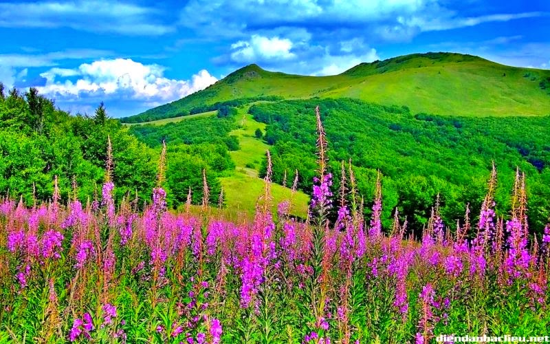 TE1BBB12BhiE1BB83u2BmC3ACnhs2BBlog tuhieuminh.blogspot.com LC3A0m2BgC3AC2Bkhi2BbE1BB8B2BthE1BAA5t2BtC3ACnh