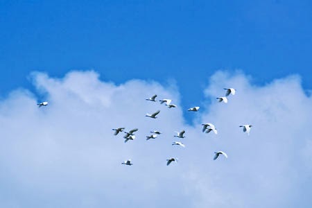 TE1BBB12BhiE1BB83u2BmC3ACnhs2BBlog tuhieuminh.blogspot.com NghC4A9